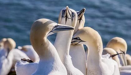 开云体育官方网站-年终总决赛分组形势平均 德约纳达尔出线不容易